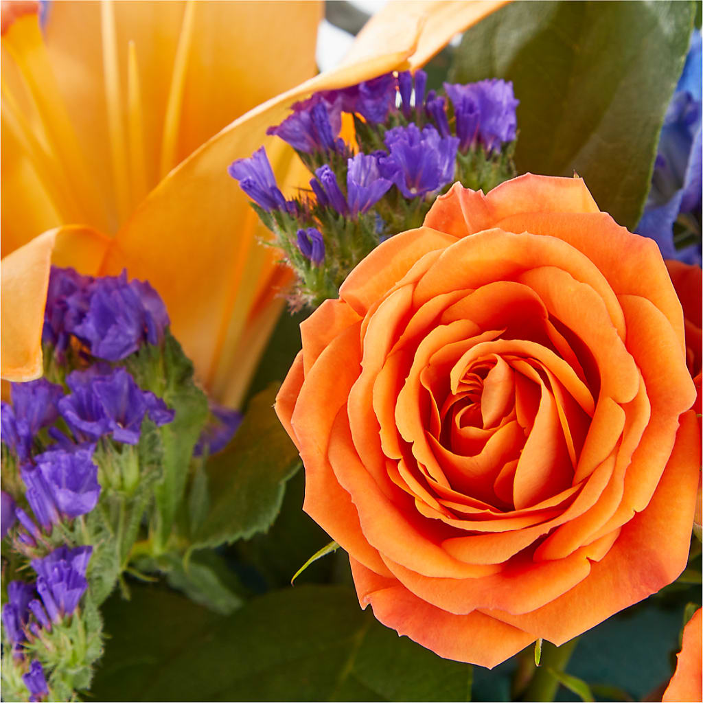 Radiant Citrus Box Bouquet –  Rose And Silk Florist Llc, Lewisville TX