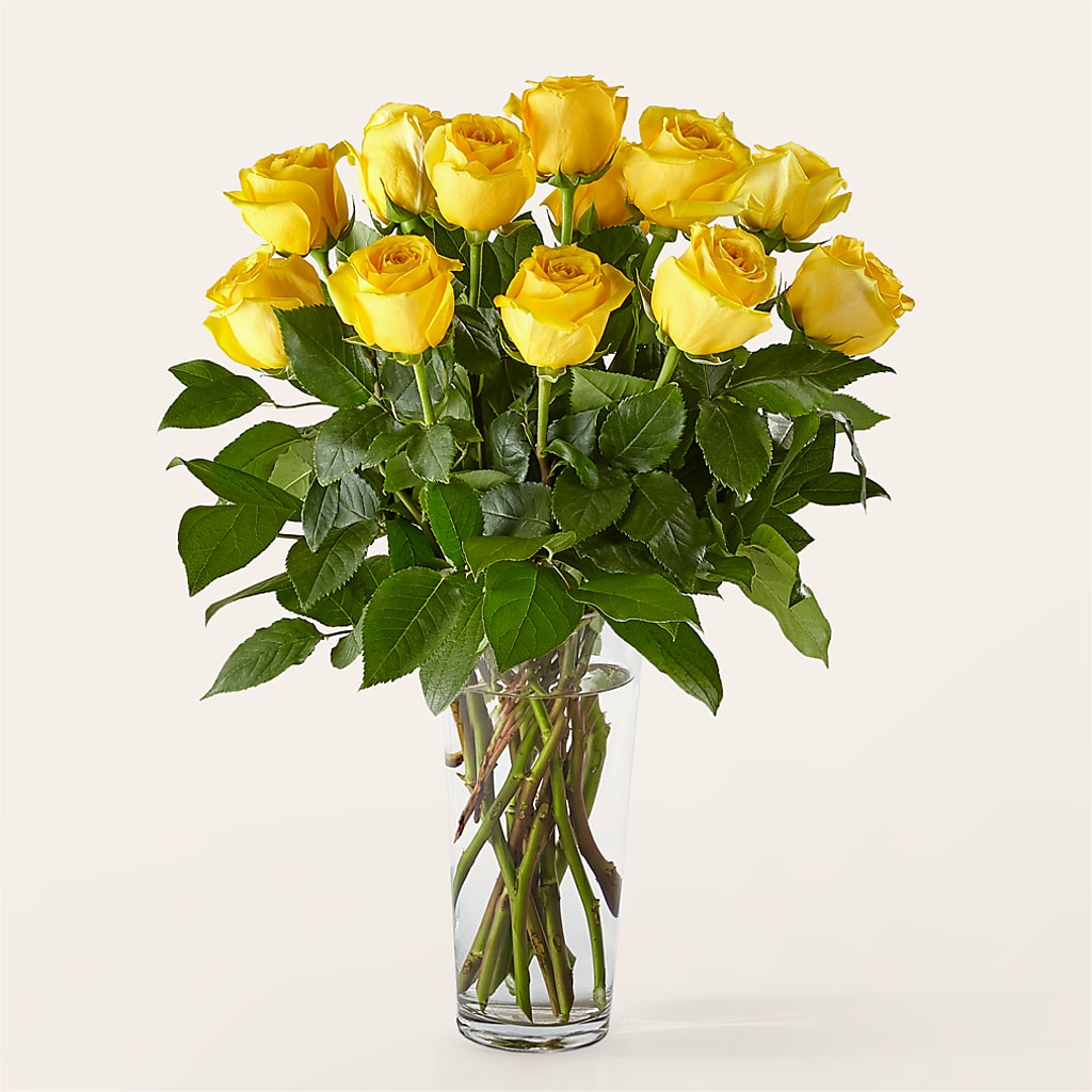 Long Stem Yellow Rose Bouquet –  Rose And Silk Florist Llc, Lewisville TX