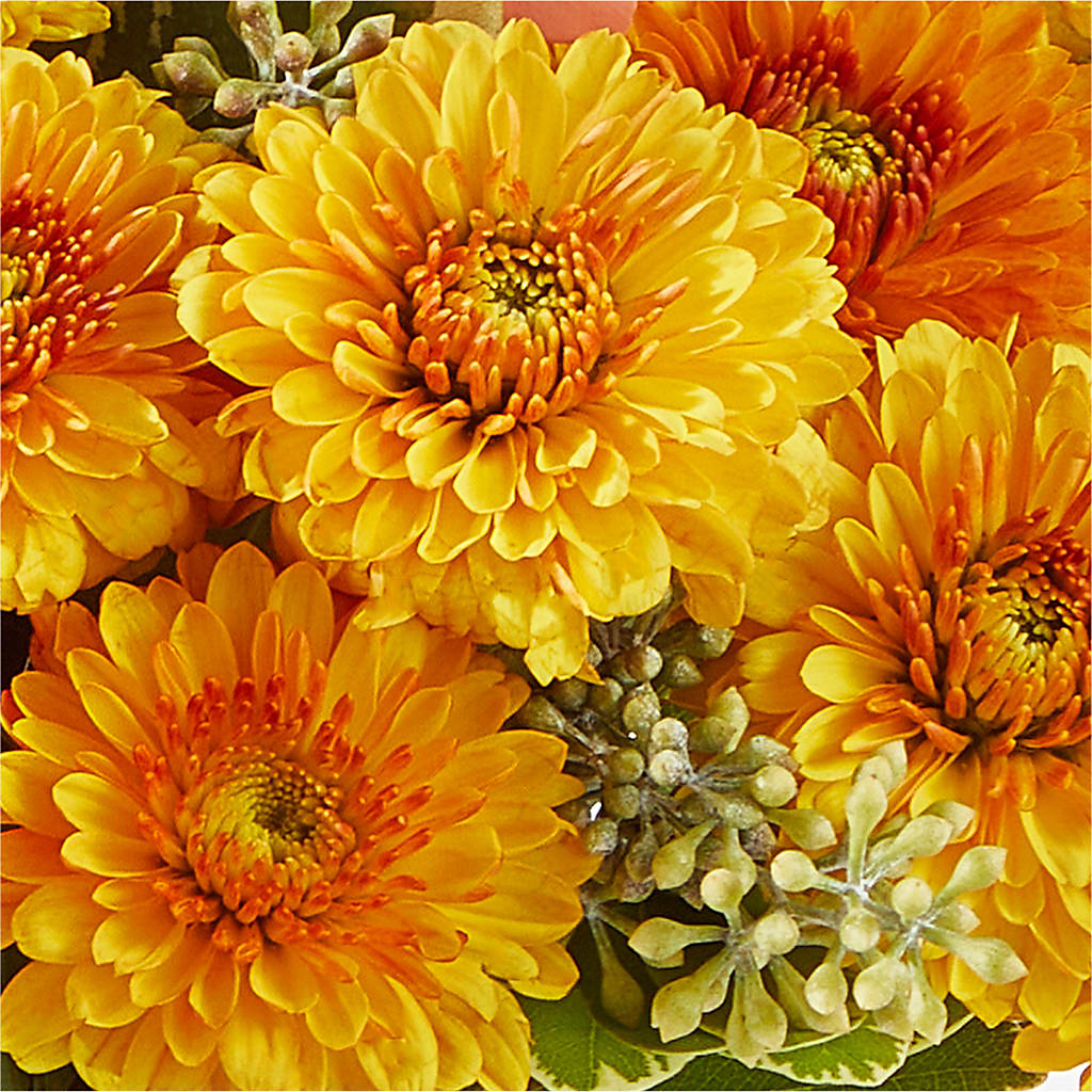 Peachy Pumpkin –  Rose And Silk Florist Llc, Lewisville TX