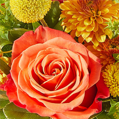 Gourdgeous Pumpkin –  Rose And Silk Florist Llc, Lewisville TX