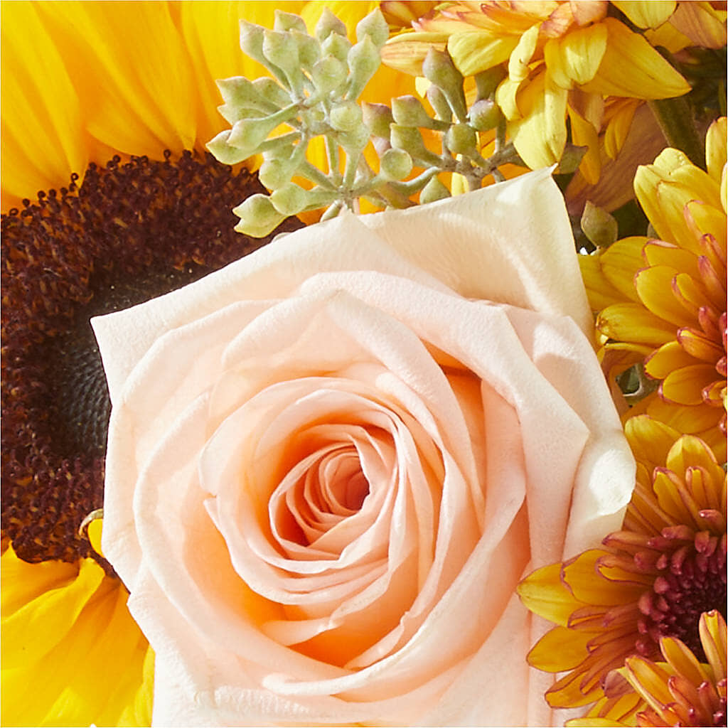 Pumpkin to Talk About Bouquet –  Rose And Silk Florist Llc, Lewisville TX