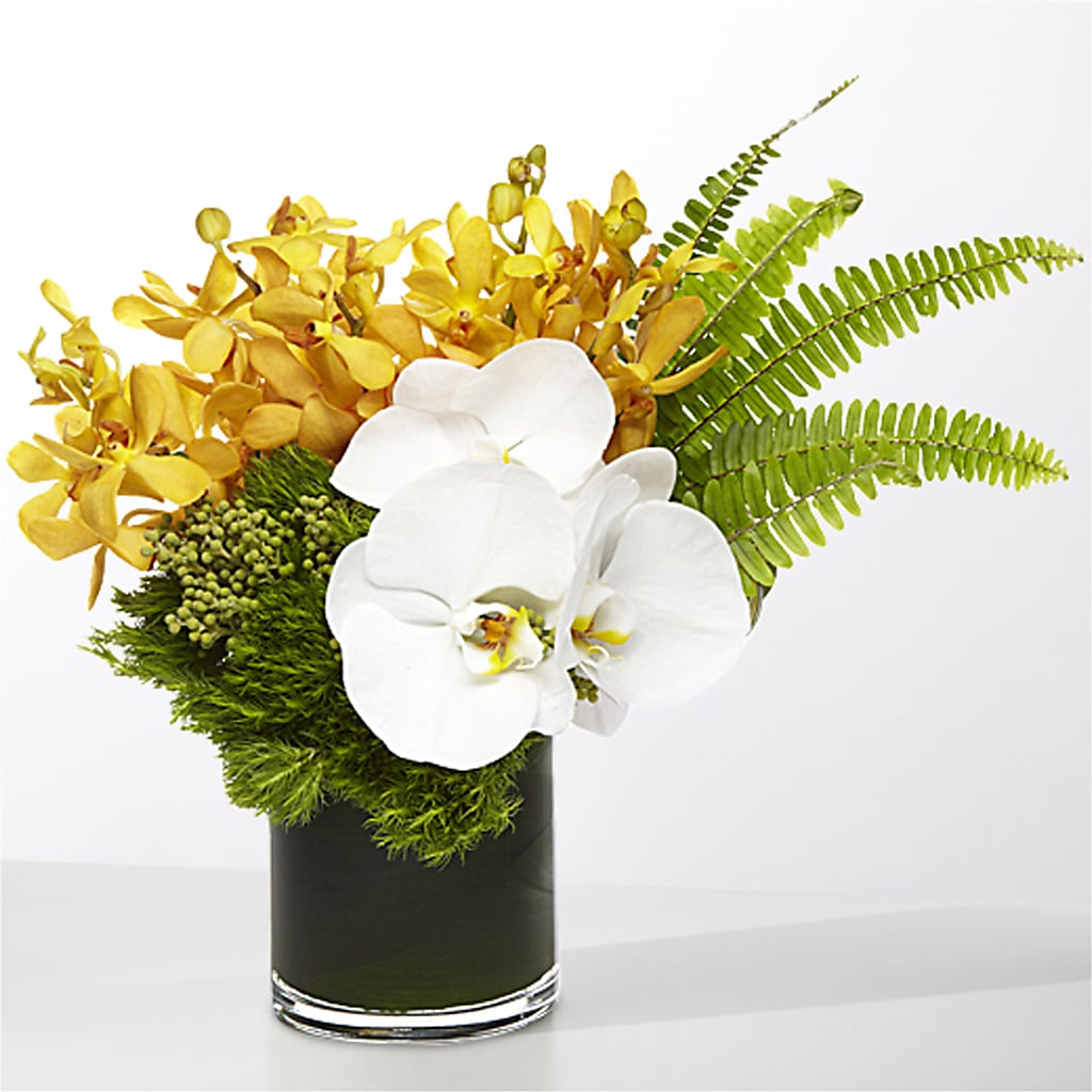 The Tropics –  Rose And Silk Florist Llc, Lewisville TX
