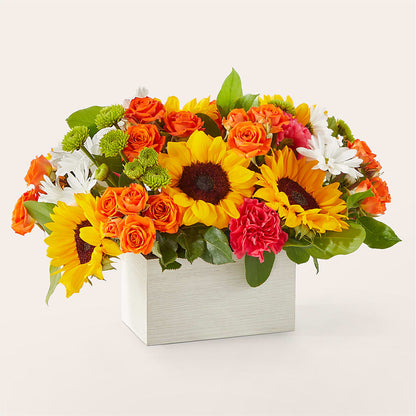 Sun-drenched Blooms Box Bouquet –  Rose And Silk Florist Llc, Lewisville TX