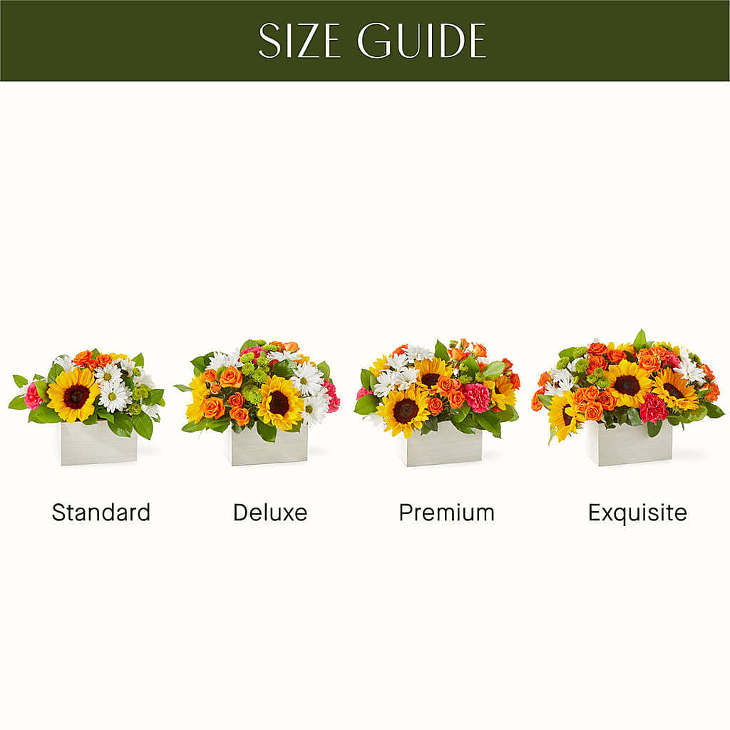 Sun-drenched Blooms Box Bouquet –  Rose And Silk Florist Llc, Lewisville TX
