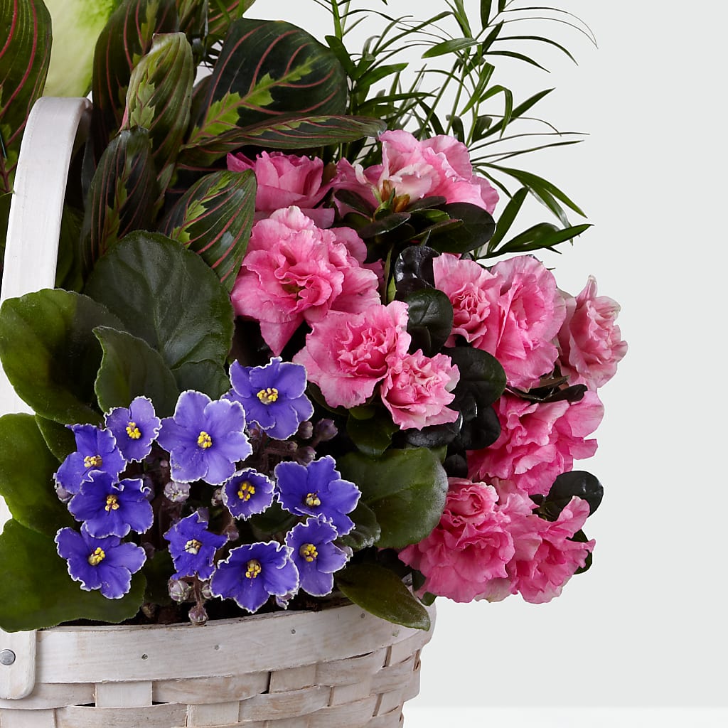 Peaceful Garden Planter –  Rose And Silk Florist Llc, Lewisville TX