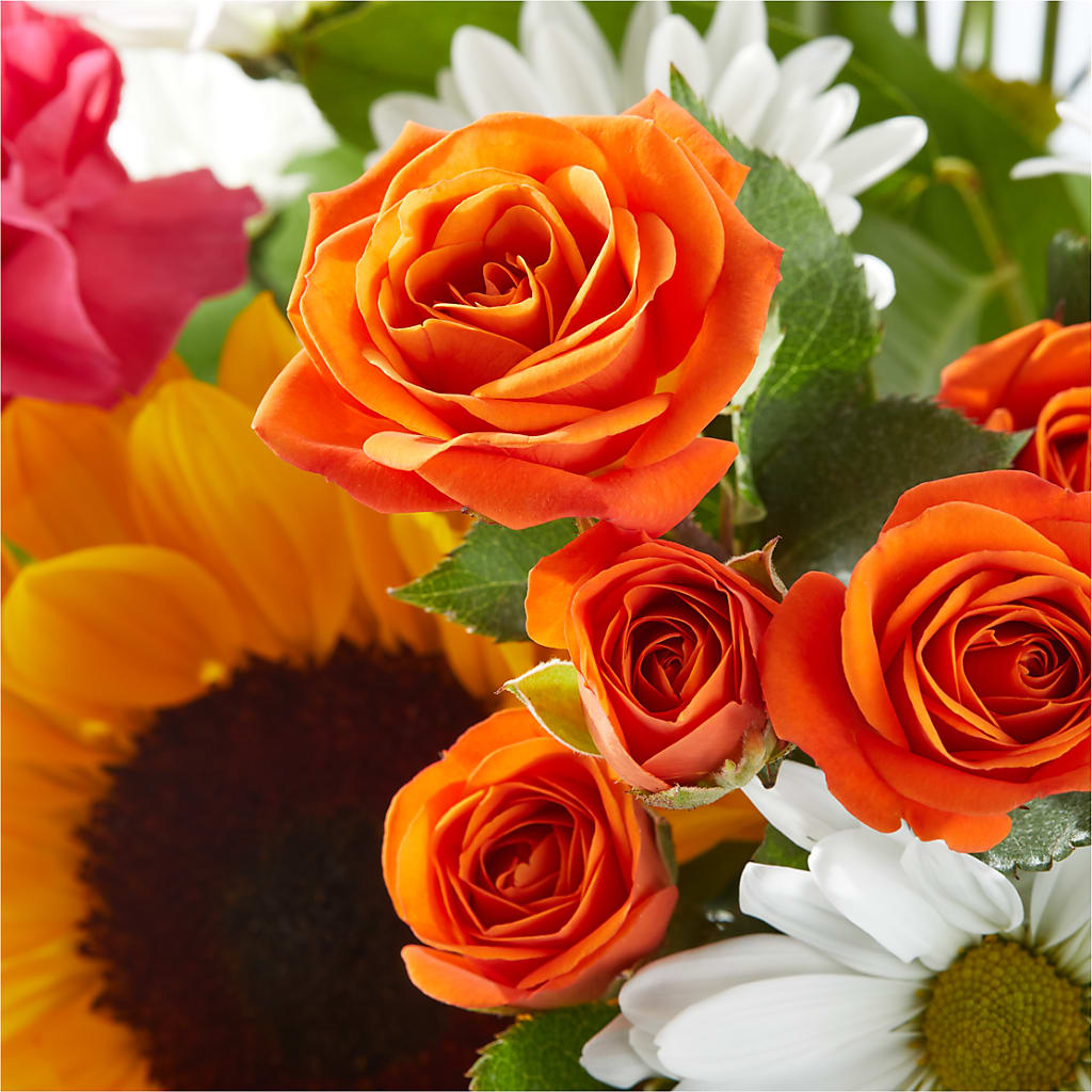Sun-drenched Blooms Bouquet –  Rose And Silk Florist Llc, Lewisville TX