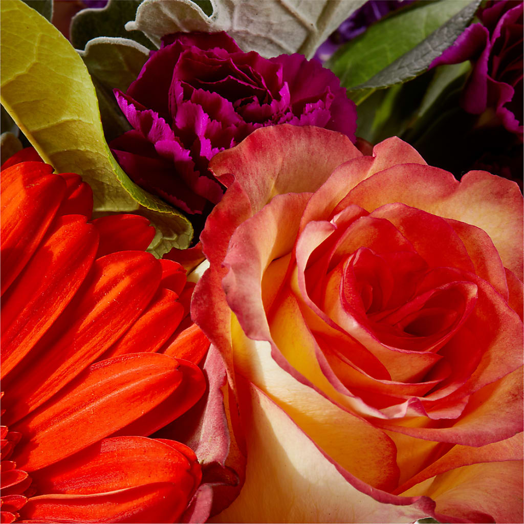 Sangria Bouquet –  Rose And Silk Florist Llc, Lewisville TX