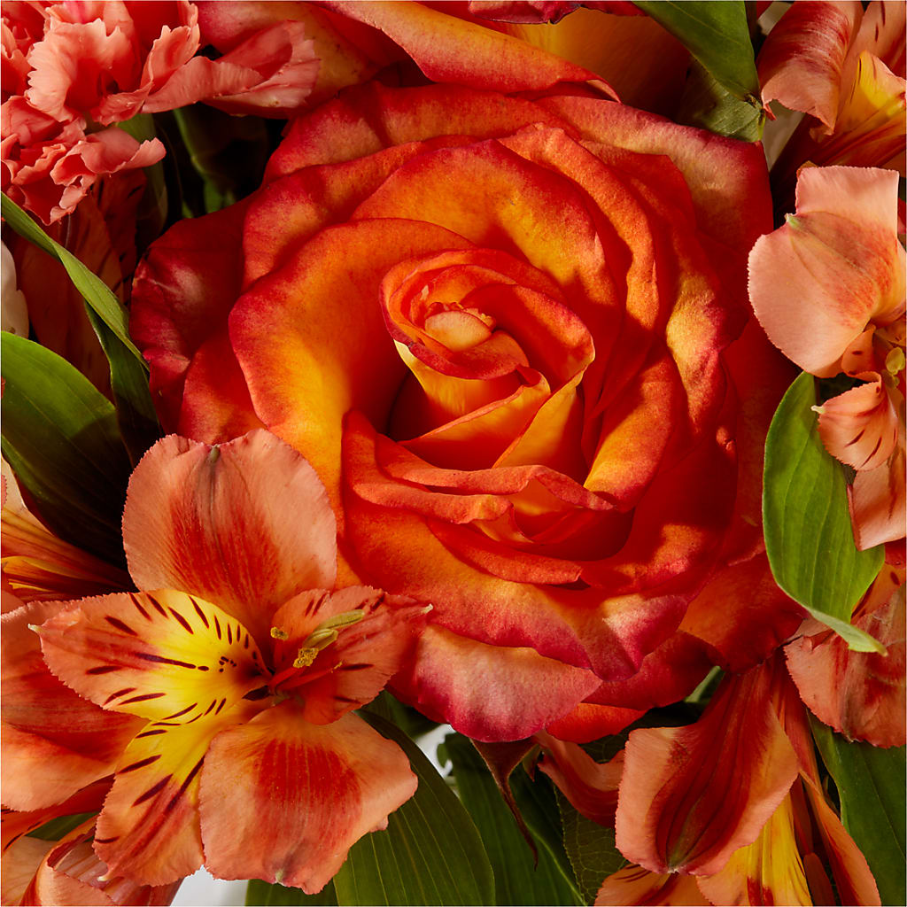 Apricot Glow Bouquet –  Rose And Silk Florist Llc, Lewisville TX