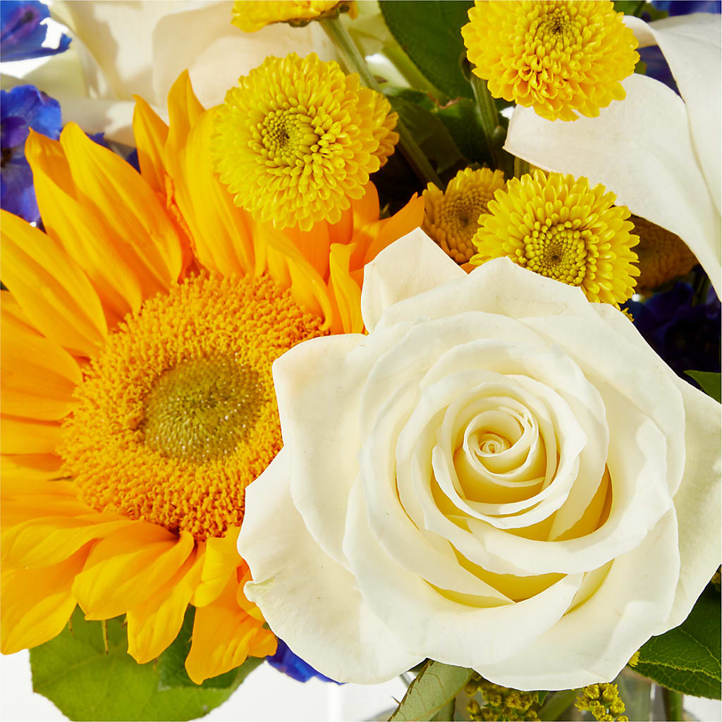 Stargazing Bouquet –  Rose And Silk Florist Llc, Lewisville TX