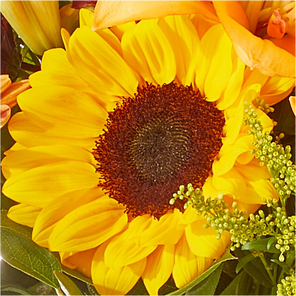 Seasons Change Bouquet –  Rose And Silk Florist Llc, Lewisville TX