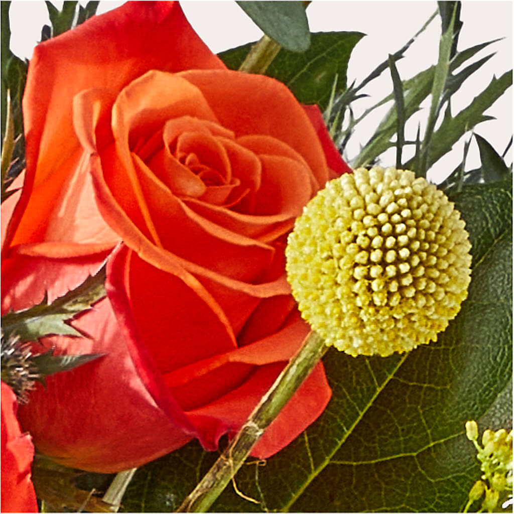 Disco Bouquet –  Rose And Silk Florist Llc, Lewisville TX