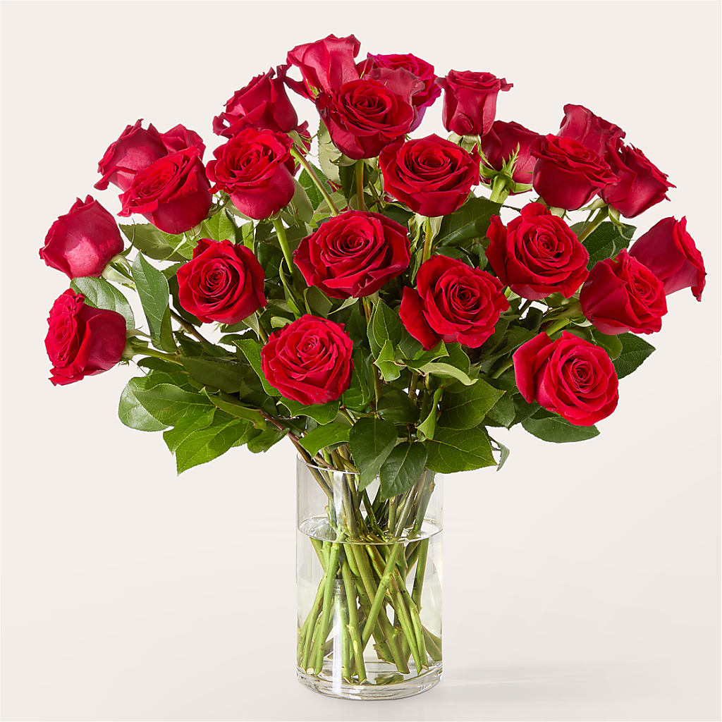 The One Red Rose Bouquet –  Rose And Silk Florist Llc, Lewisville TX